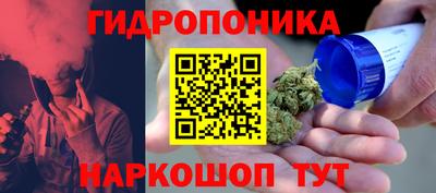 кокс Бийск