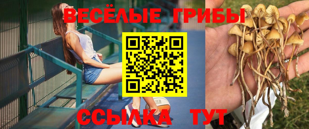 Галлюциногенные грибы мухоморы Берёзовский