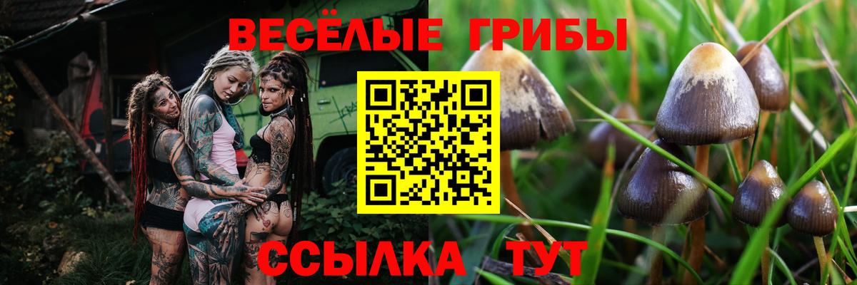 Берёзовский  Псилоцибиновые грибы GOLDEN TEACHER  Галлюциногенные грибы Cubensis  Вход с VPN 